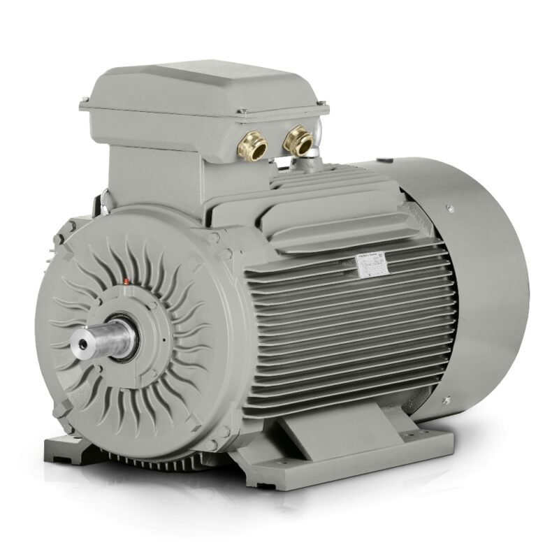 Silnik elektryczny 110kW 3LC IE3 400V/690V 1000 obr./min Sprzedaż
